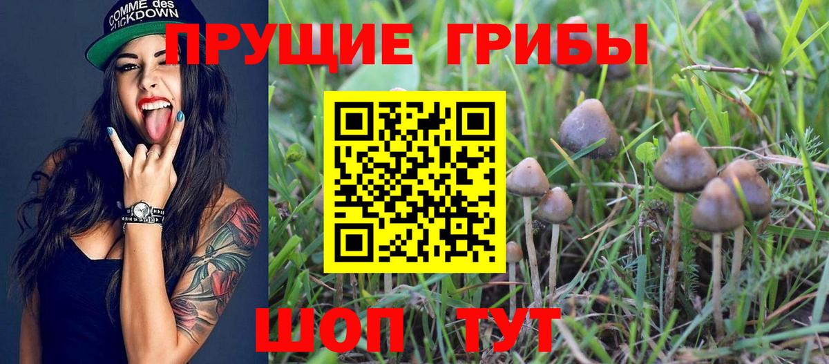Псилоцибиновые грибы GOLDEN TEACHER  Вход с VPN  Дагестанские Огни 